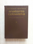 Anatomia człowieka Tom 4  Adam Bochenek, Michał Reicher
