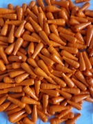 LEGO marchewka 50szt. 33172 elementy mix