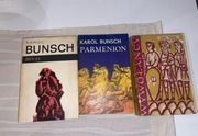 Zestaw książek Karol Bunsch Bracia , Parmenion , Wywołańcy