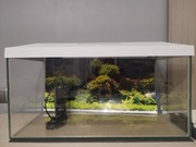 Akwarium aquael 54 L