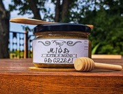 Miód z Pyłkiem i Pierzgą Pszczelą ( Extra Miód)