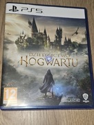 Hogwarts Legacy ps5