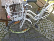 rower młodzieżowy Giant Gloss