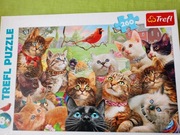 Puzzle z kotami 260 