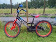 Rower dziecięcy 20 Indiana 