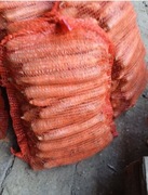 Marchew z własnej plantacja od rolnika 