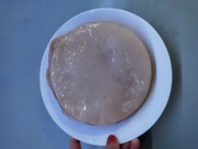 Grzybek scooby do kombuchy +starter