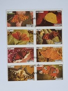 (1617) znaczki motyle nierozerwane