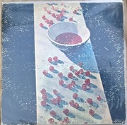 LP Paul McCartney McCartney 1st USA Press The Beatles Wings G