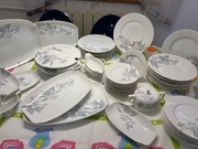 Serwis obiadowy Rosenthal 