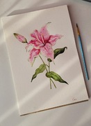Obraz akwarelowy Lily 