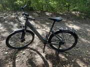E bike Tenways CGO800s