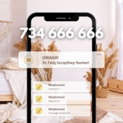 Szczęśliwy Złoty Numer 734 666 666