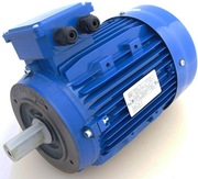 Silnik elektryczny 0,75kW 710 ob/min typ MS 100L1-