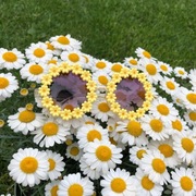 Okulary przeciwsłoneczne dziecięce