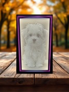 Włącz swoją historię – spersonalizowana lampa fotograficzna