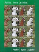 Arkusik 4173 - 76  Polskie konie arabskie . 