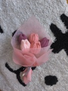 Bukiet tulipanów do wazonu nowe