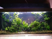 zestaw 1280 l (akwarium + filtracja + oświetrlenie + varia)