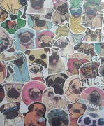 Naklejki, wlepy wielorazowe 50 sztuk PUG 2
