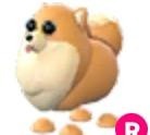 Pomeranian R - Roblox Adopt Me