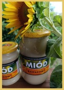 Polski Miód Rzepakowy 2024 duży słoik od rolnika
