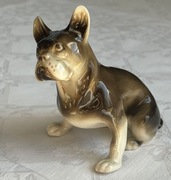 Figurka Buldog Francuski porcelana Royal Dux