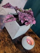 Doniczka osłonka betonowa beton 