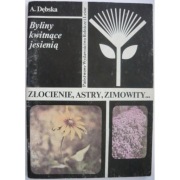 Złocienie Astry Zimowity - Dębska A.