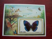 Umm Al Qiwain MNH Fauna Owady Motyle