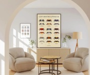 Plakat A3 Lepidothelphusa Borneo kraby- beżowy