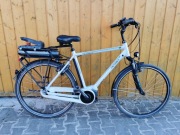 Thompson E-Drive – Pełny System Shimano STEPS | Bateria 418Wh | Nexus 8