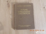 Atlas owadów leśnych. W.Koehler, Z. Schnaider