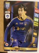 FIFA 365 2025 Karta 215