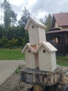 Budka lęgowa dla ptaków, drewniana budka lęgowa, dla sikorek i wróbli