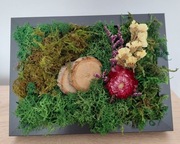 Obraz z mchem chrobotkiem - leśny chaos 