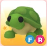 FR Turtle | Adopt Me Roblox