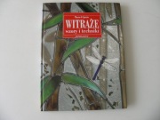 Witraże Wzory i techniki Maria di Spirito
