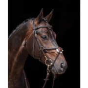 HKM ogłowie Mexican Style EQUKAMELA ogłowia