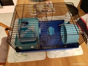 Klatka do chomika z uchwytem + pełne wyposażenie