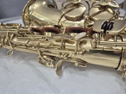 Saksofon altowy Arnolds&Sons Model AAS-100