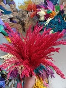 Proso klosy zboże suszone naturalne trawy ozdobne czerwone na palmy 