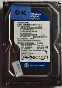 Dysk HDD 3.5 Western Digital Caviar Blue WD2500AAKX Rev. 18.01H18 250 GB