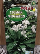 Czosnek niedźwiedzi 