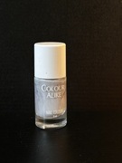 Lakier do stempli Colour Alike Ash