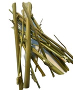 Łodygi konopi naturalny gryzak dla gryzoni 50g