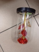 Wieczna czerwona róża w szkle 