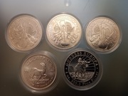5 srebrnych monet bulionowych, różne 