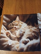 Poszewka na poduszkę jasiek 40x40cm 