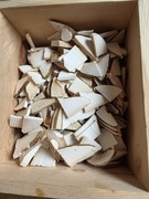 ŚWIEŻO ZBIERANY Białoporek brzozowy (huba)– Doskonała Jakość!100g